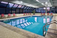Sheraton Hamilton Hotel - Pool