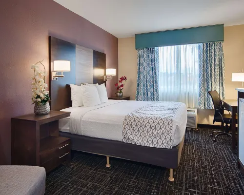 Best Western Fort Myers Inn  Suites Hotels in Lee County