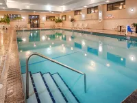 Best Western Ramkota Hotel Hotels in Pennington County