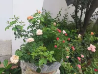 Yongzhou Xiaoxiang Xuyuan Homestay