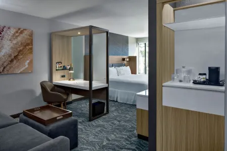 SpringHill Suites Hilton Head Island Отели в г. Хилтон-Хед-Айленд