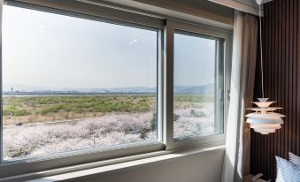 5. 부산 사상 미스..
