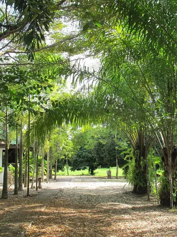 รูปภาพของนิมิตบังกะโล