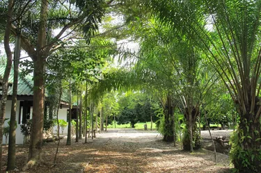 รูปภาพของนิมิตบังกะโล