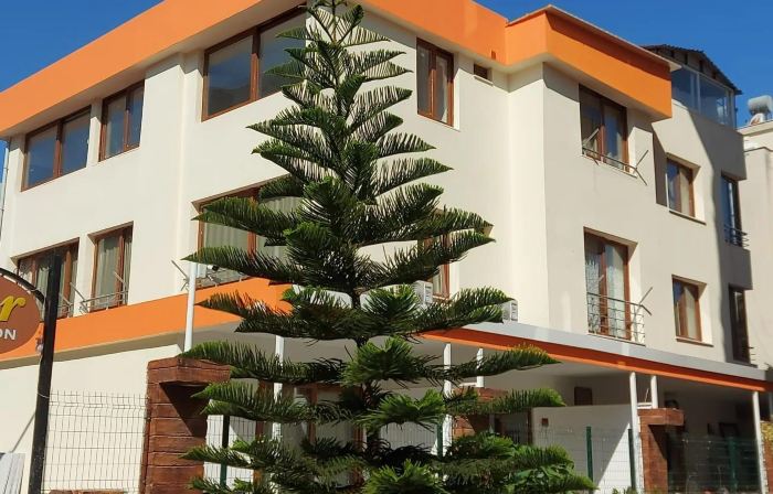 Tayfun Hotel