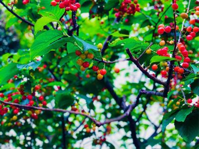 その他 信貴山観光ホテルの写真