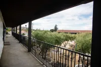 Hacienda de Leal - BW Signature Collection - カップル