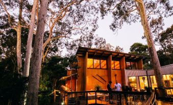 a group of people standing on a wooden deck , enjoying the evening view of a modern house surrounded by trees at Paperbark Camp