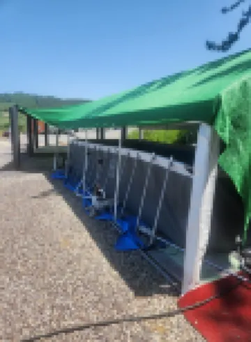 Haenam Daon Auto Camping Site
