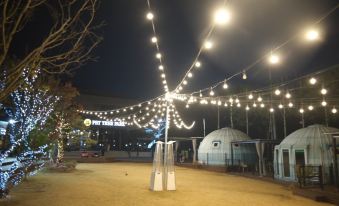4. 충주 펫트리파크..