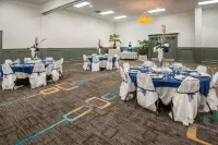 Four Points by Sheraton Alexandria - واي فاي