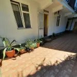 Albina Guest House