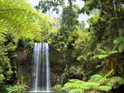 ホテル周辺 マントラ エスプラネード ケアンズの写真