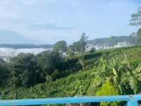 Best Mist Hotels in Idukki