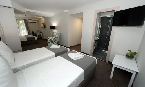Hotel Alexandar II