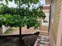 D S Residence Remarkable 3-Bed House in Freetown Hotel di Tagrin