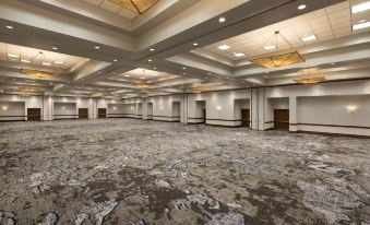 Embassy Suites by Hilton Grapevine DFW Airport North 썸네일