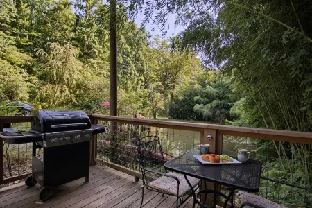 Beautiful Waterside Cabin (2), Great Location, View, 8 Min To Downtown, Biltmore