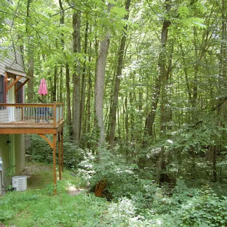 Deer Run - Mountain Getaway