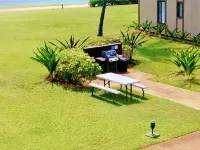 It's All about the View! Oceanfront, A/C, Elevator Hotels in Kapaa