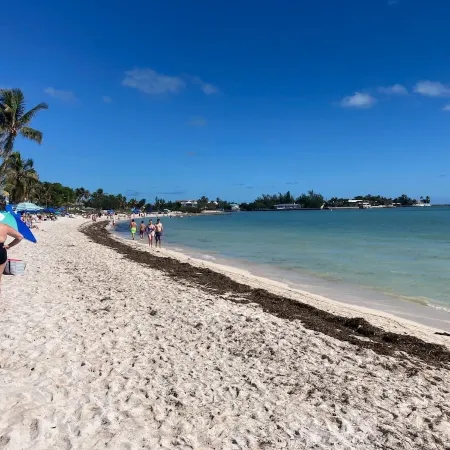 OPEN WATERFRONT [not canal] HOUSE [not duplex] Snorkel right from your backyard