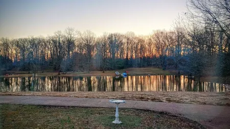 2-Bedroom Tiny Home with full kitchen, laundry, wifi, and beautiful pond views