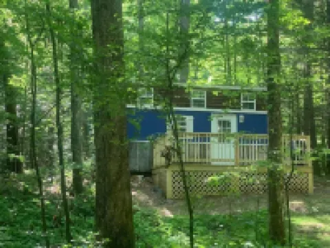 Porcini - Creekside Tiny House #2