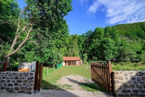 Farmhouse Florence (Complete house for 7 people)