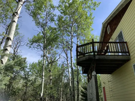 Nicely renovated apartment close to all that Steamboat has to offer! Отели рядом с достопримечательностью «Сода Спринг»