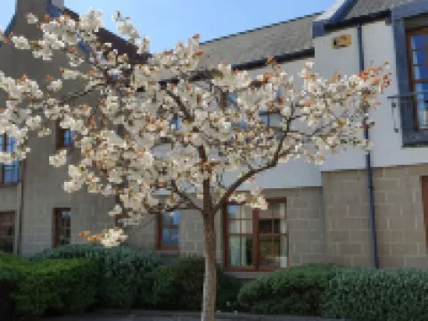 2 bedroom garden apartment, Crail, Roseford Apartment with private parking Hotels in Crail