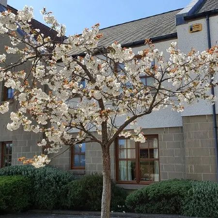 2 bedroom garden apartment, Crail, Roseford Apartment with private parking