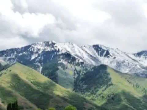 Modern Mapleton Get-a-way Hotels in Mapleton