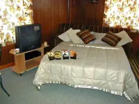 Adirondack Cottage - Four Season, Pet-Friendly, Cozy & Beautiful. Read  reviews!