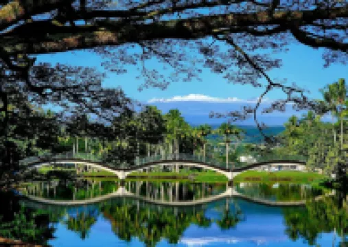 Oceanview Mauna Loa Shores Kai Ekahi #201 Next to Carlsmith Beach Park