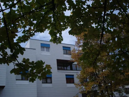 Perfect family holiday in the mountain forest: pool, sauna and fantastic views