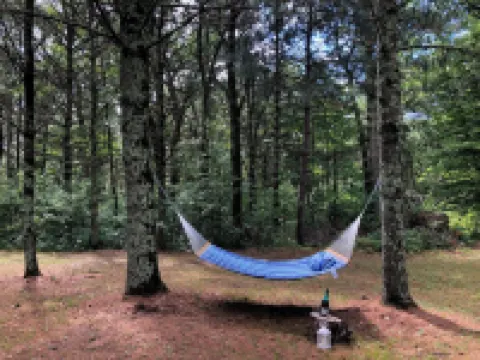 Blue Birch Cabin - Hatfield, WI