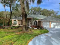 Retreat with Private Caged, Salt Water Pool, 4 Bd/3 Ba, Near Busch Gardens & USF 심스 공원 주변 호텔