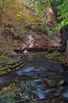 2024 Remodeled Creekside Cabin Steps to Downtown Manitou Springs Lic#9244