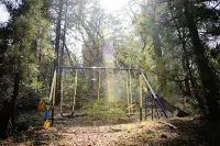 National Forest in Your Backyard! Family + Pet Friendly w/ Spa!