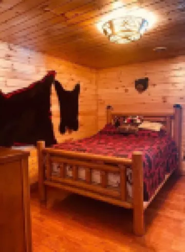 Cabin 8 miles to Pine Creek  Pa. Minutes to  ATV and snow mobile trail and Hyner