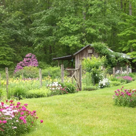 Sanitized! Creekside Cottage sits over Creek  Woods, Looking into Park!  Pets OK