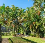 Completely renovated! Private 3/2/2 heated pool home in Port St Lucie FL! Walmart Supercenter附近的飯店