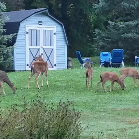 Beautiful 4 season getaway in the scenic northwoods of the Western UP!