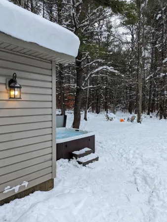 Cozy "Wildwood Lodge" Nestled in a Beautifully Wooded Setting - Pet Friendly