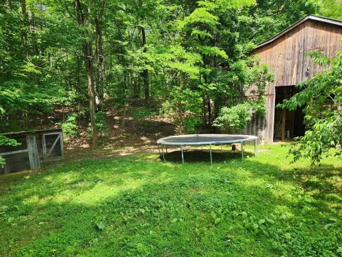 Busse's Roost Cozy Mountain Home