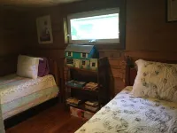 Live on a Horse Farm, Kids Ride Horses, Gather Eggs,  Hike,  Fish, Swim, Sauna Hotels in Bald Mountain