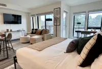 LUXE DOWNTOWN w/ VIEW • in-unit W/D • Work from Home • King Bed • Gigabit WiFi