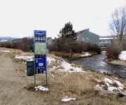 Great Townhome, minutes from Winter Park Ski Area, and the Fraser Tubing Hill.