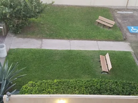 Direct Beachfront Modern Spacious Corner Unit w/Stunning Ocean Views Sleeps 10 Отели рядом с достопримечательностью «Sea Turtle, Inc.»