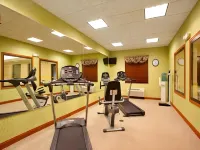 Holiday Inn Express & Suites SPRINGFIELD - DAYTON AREA by IHG - Phòng tập thể hình